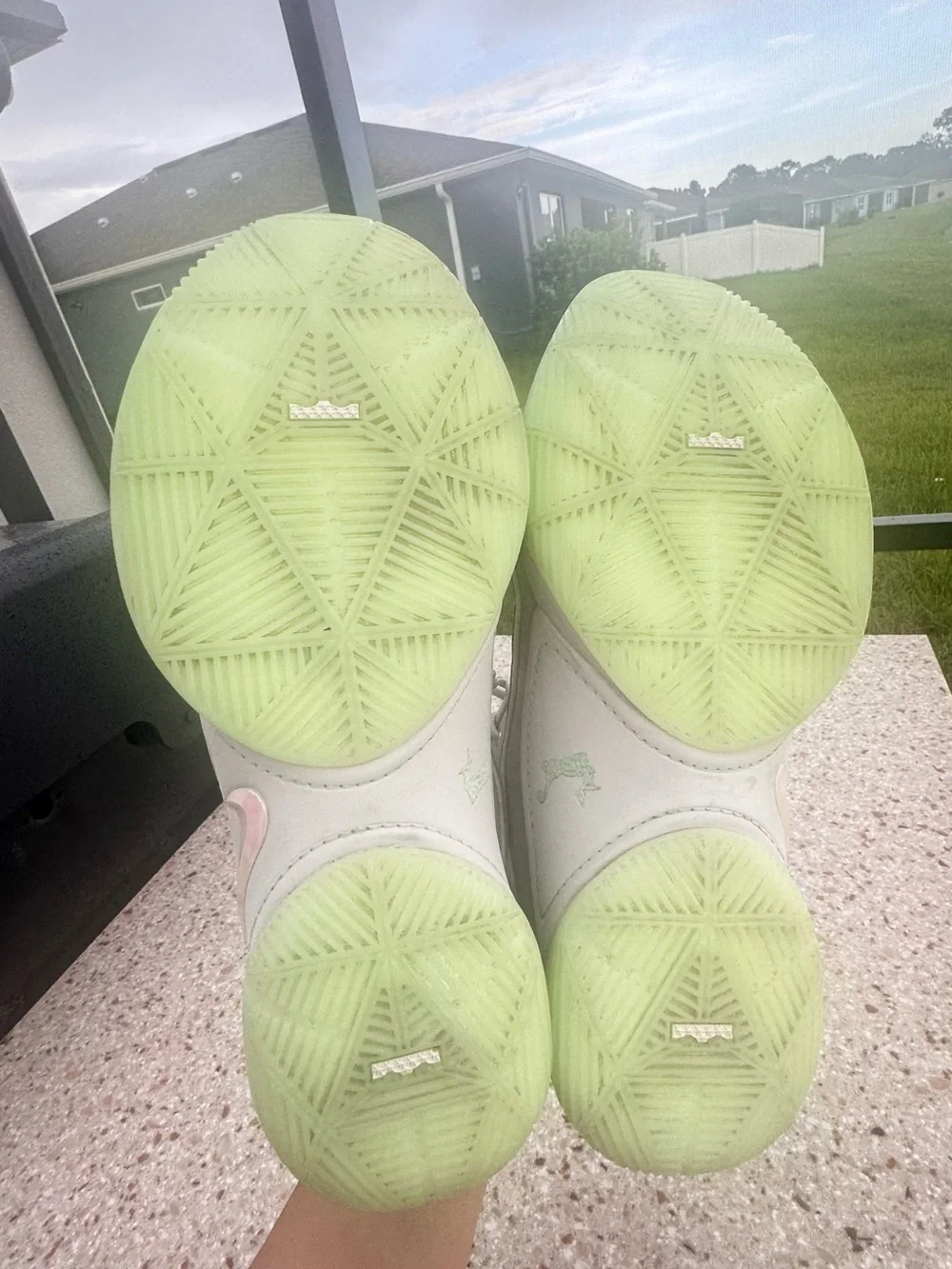 Nike LeBron 22 Dunkman Sz 9.5